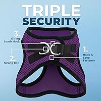 Vista 2 de Voyager Step-in Air - Arnés de malla para cualquier clima, reflectante, antitirones, para perros y gatos pequeños y medianos, con velcro, hebilla