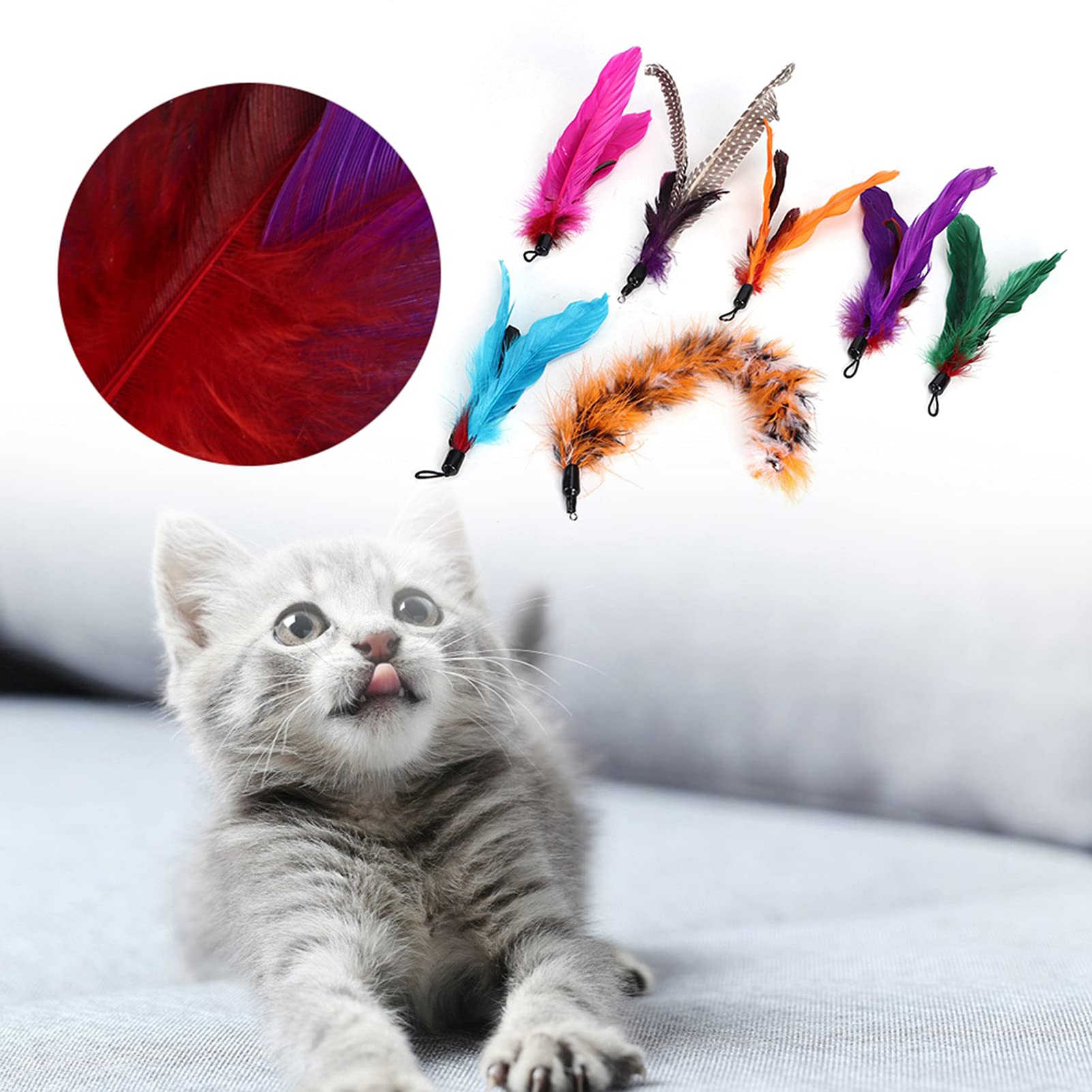 ZJchao Juguete de Plumas para Gatos, Juguetes de Plumas para Gatos de Interior, 7 Piezas, Juguete Colgante para, Juguetes para, Varilla, Pluma, Cabeza de Repuesto, Suministros para para Todas