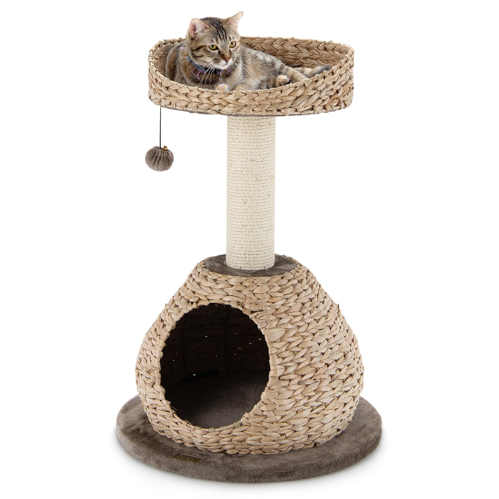SOARS Árbol Rascador para Gatos, Poste Rascador de 71 cm de Altura con Camas, Bola Colgante, Tronco de