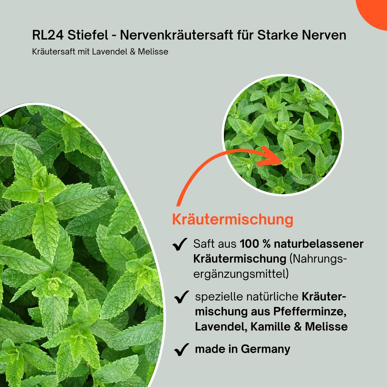 RL24 Stiefel - Nervenkräutersaft für Starke Nerven – 5 x 1000 ml | (5er Set) – Flasche – Kräutersaft mit Lavendel – Ergänzungsfuttermittel für nervöse & gestresste Pferde