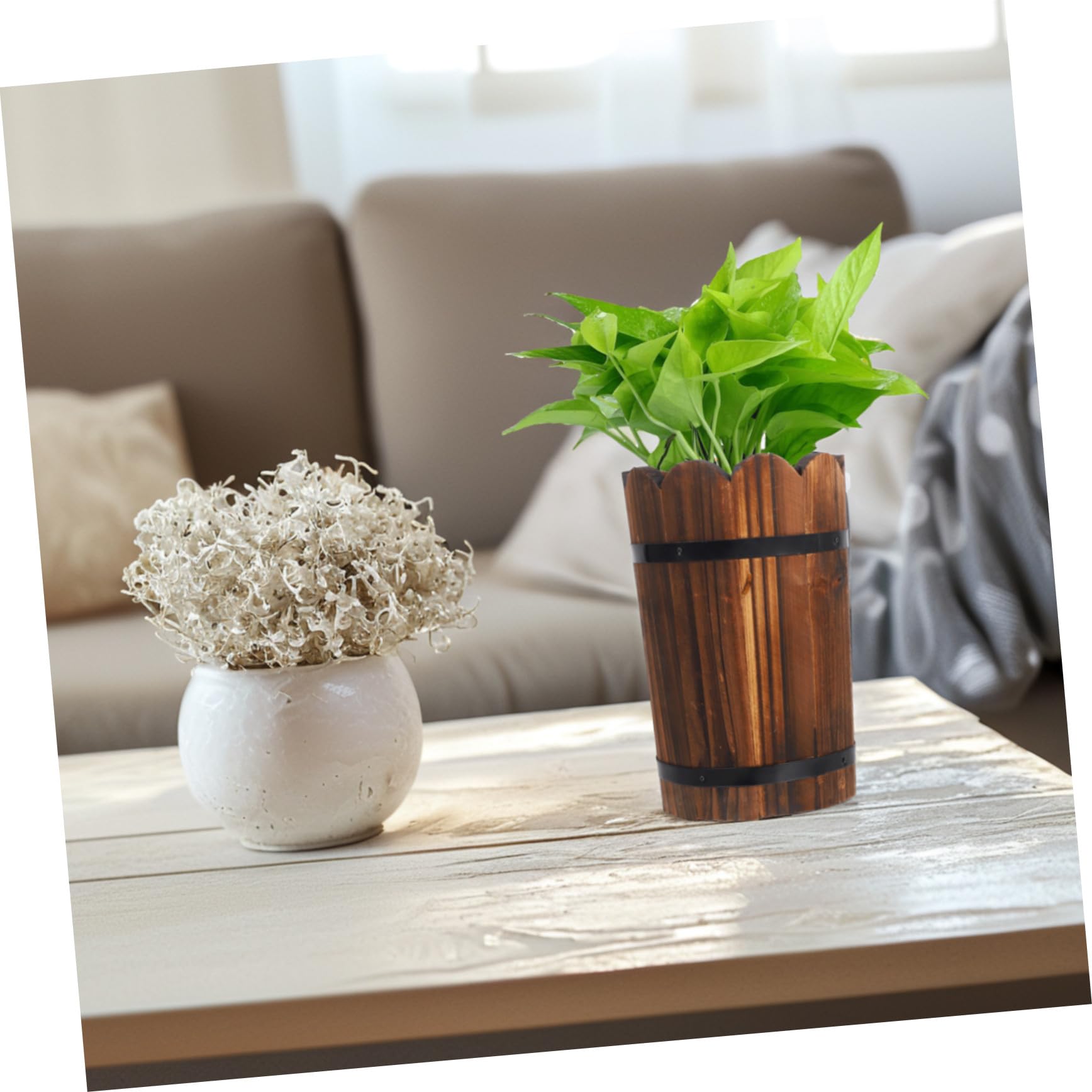 SUPVOX Fioriera Legno Vasi Ovali per Piante Bonsai Fioriera Retro in Legno Vaso per Piante Grasse