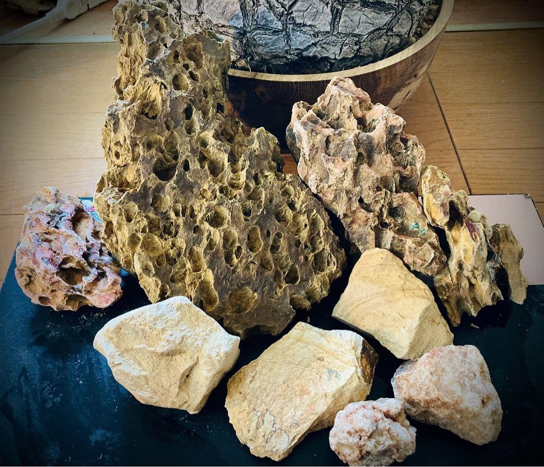 Amazon.co.jp: ハビタットスタイルやテラリウムに ADA valiem 化粧石