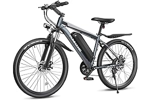 Electric Bike for Adults, Customized for a Slimmer You
