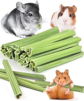 Bissap 25 PCS Guinea Pigs Chew Sticks, Natural Papaya Stems Bunny Chews Treats for Hamsters Chinchillas Small Animals Organic Molar Chewing Snack
