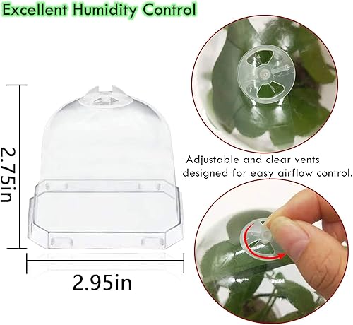 Miniatura 4 de PURPLE STAR 1N 30 macetas de vivero con cúpula de humedad, macetas de jardinería pequeñas y cuadradas, tazas para suculentas, plántulas, esquejes de