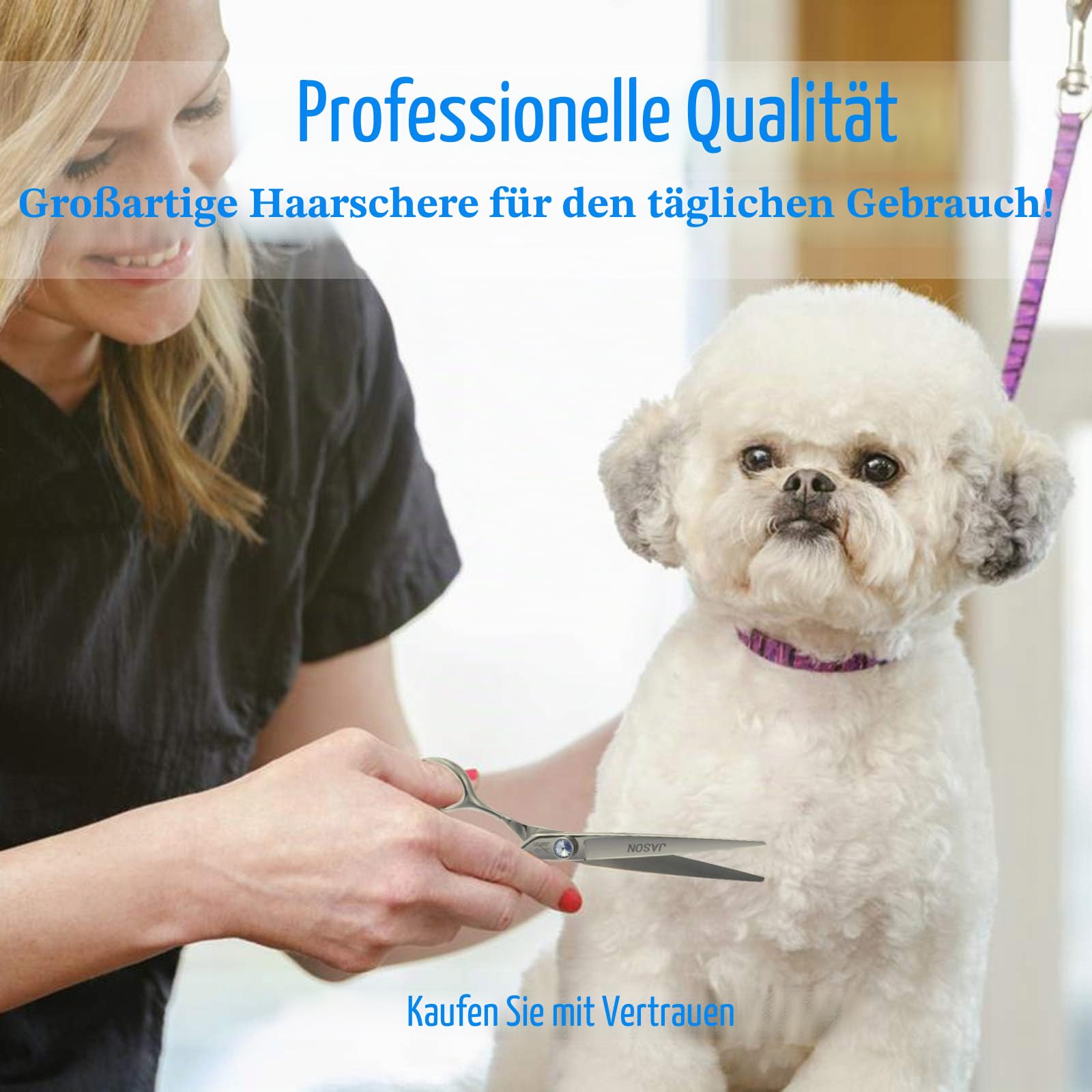 JASON Professionelle Haustierschere - Fellpflegschere Fellpflege für Hunde Katzen mit einstellbare Schraube 8 Zoll Gerade Hundeschere aus japanischem 440C-Edelstahl