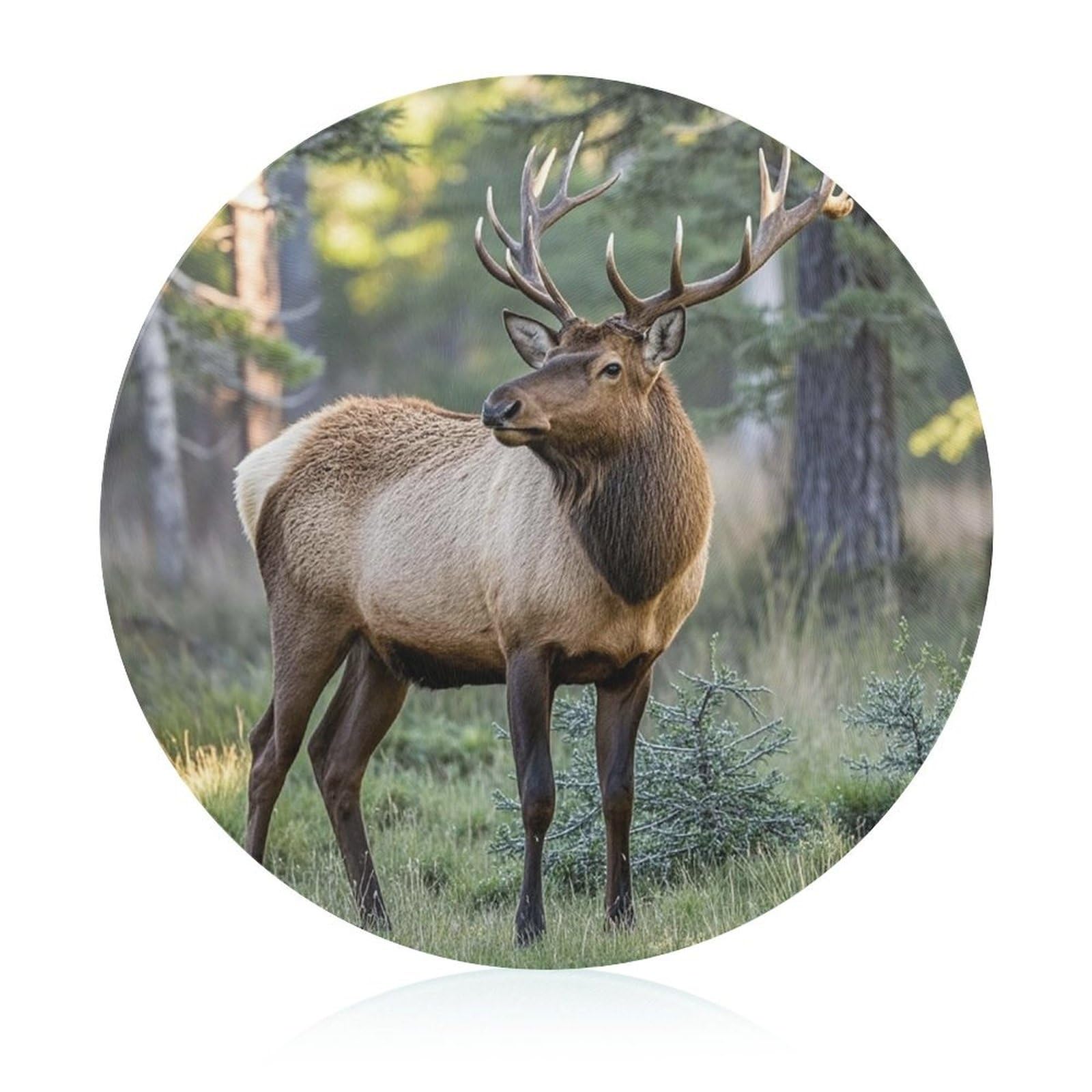 Fall Moose Deer Tempered Glass Cutting Board Easy to Clean Butcher Block Feeling Comfortable Round Chopping Board Light Portable Cutting Boards for Kitchen Counter 7.9 Inch