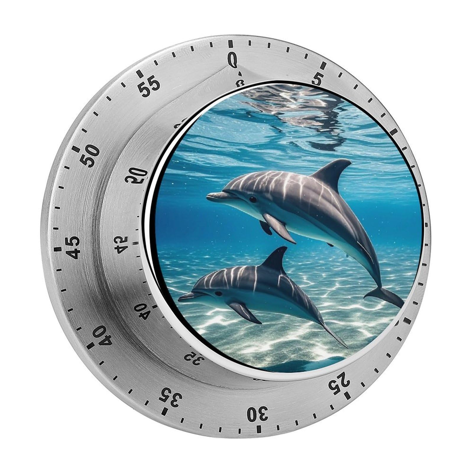 Dolphins Underwater Timer with Loud Alarm Precision 60 Minute Wind Up Timer Portable Manual Countdown Timers Exquisite Stainless Magnetic Kitchen Timers for Cooking Chef Clock