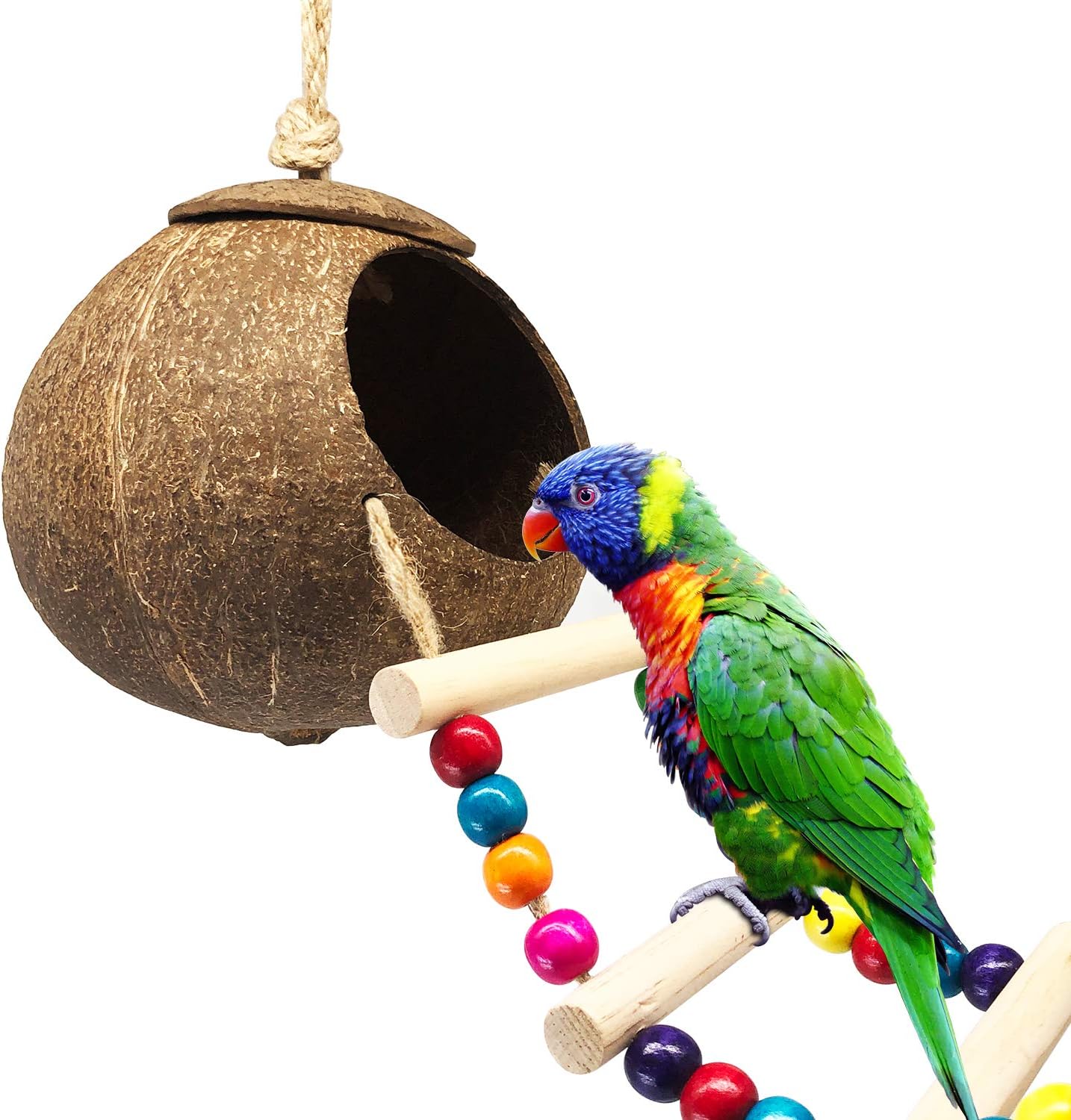 DICOBEE Coconut Bird House with Ladder, Hanging Coconut Shell Bird Nest for Parakeets, Love Birds and Canary, Natural Coconut Hideaway…