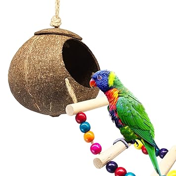 DICOBEE Coconut Bird House with Ladder, Hanging Coconut Shell Bird Nest for Parakeets, Love Birds and Canary, Natural Coconut Hideaway for Small Animal Cage Toys