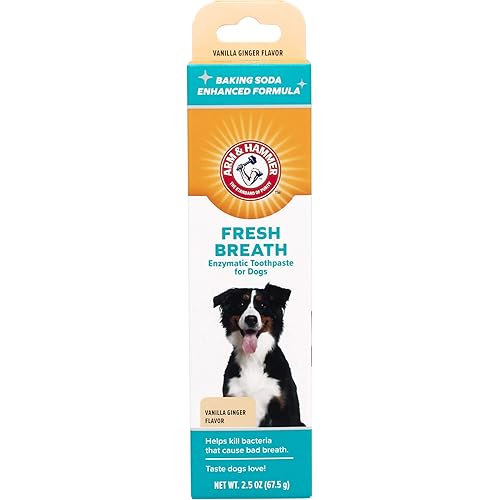 Arm & Hammer for Pets Clinical Care Dental Enzymatic Toothpaste for Dogs | Soothes Inflamed Gums | Safe for Puppies 1 Pack Fresh Breath Vanilla Ginger