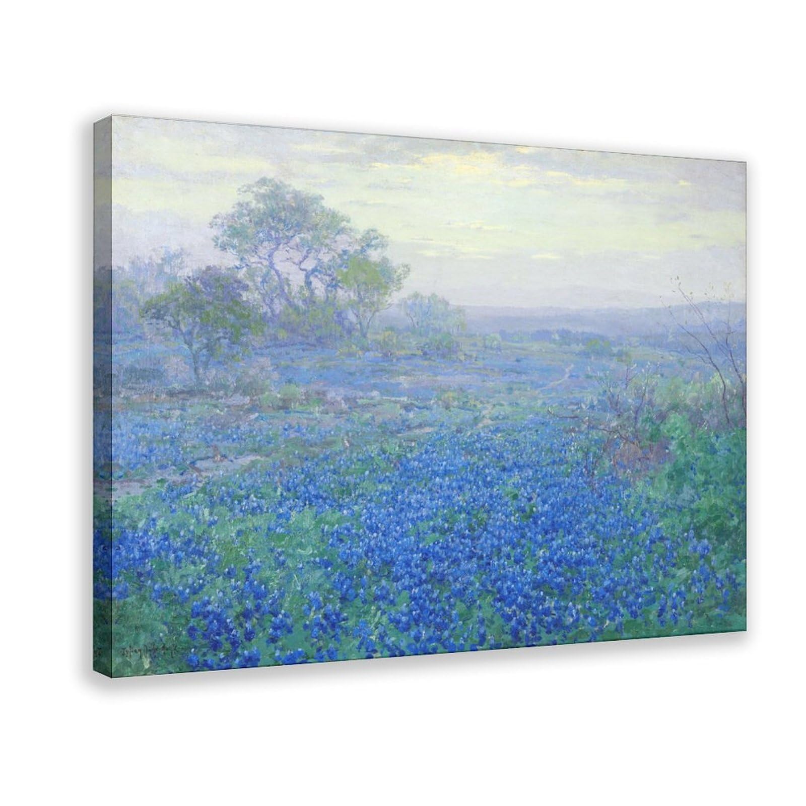 DFJyjFGJJ Julian Onderdonk,A Cloudy Day,Bluebonnets near San Antonio,Texas Canvas Wall Art Print Poster For Home School Office Decor 16" L X 24" W