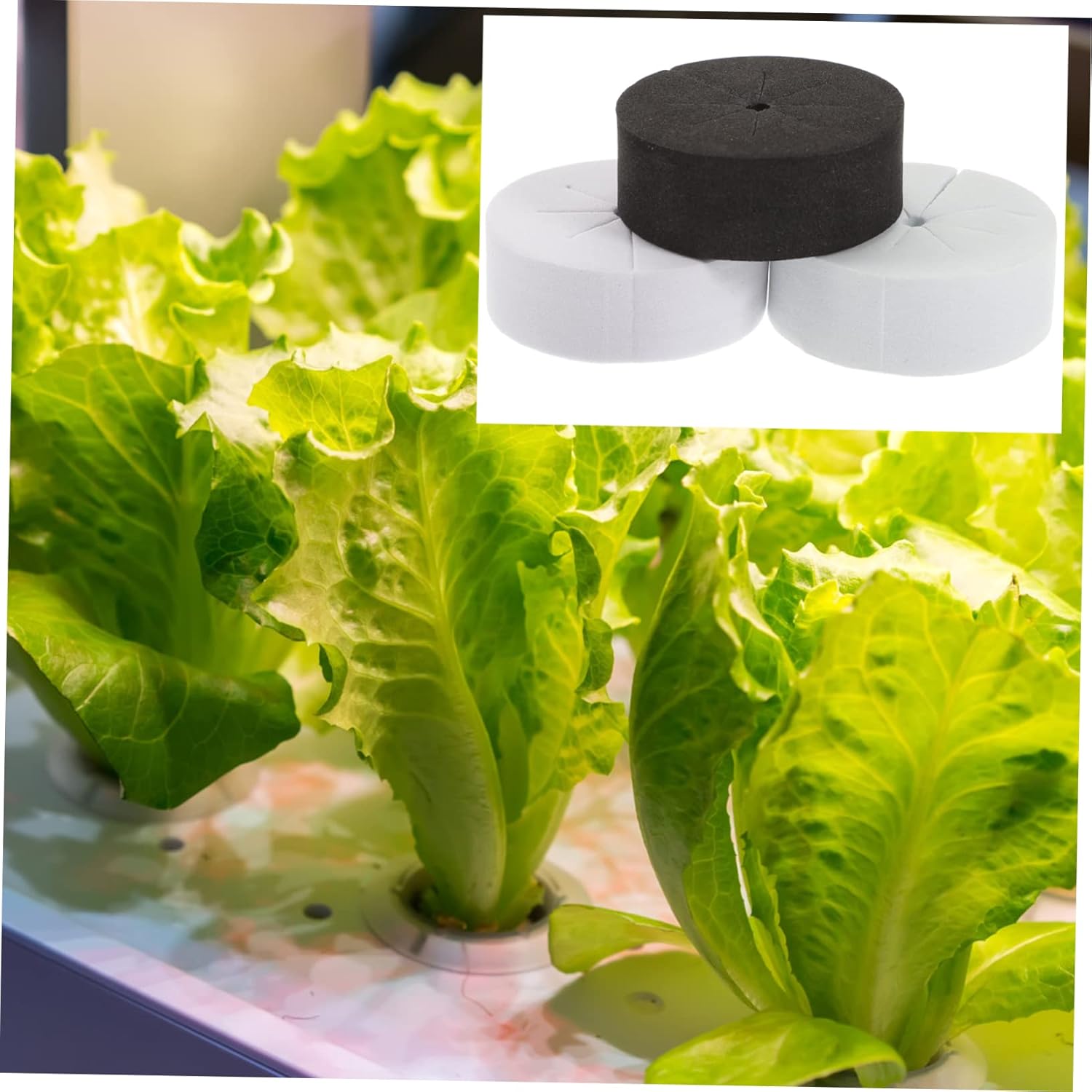 120pcs Planting Blocks for Soilless Cultivation Garden Clone Collars Nutrient Block for Plant Growth for Home Planting and Nurseries