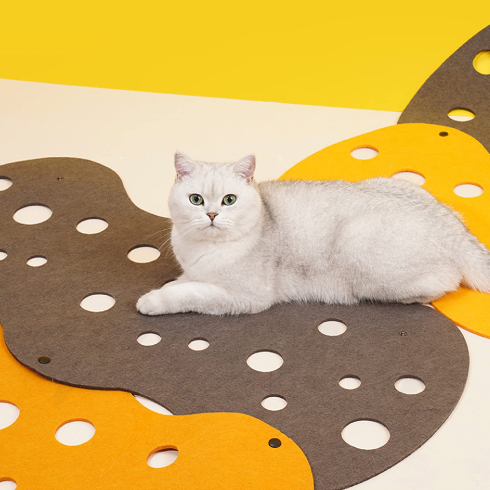 Katten vilten tunnel, wasbaar kattendonutvilt, intelligent ontwerp met ritssluiting, vilten tunnel, kattentunnel, labyrint, voor kleine huisdieren
