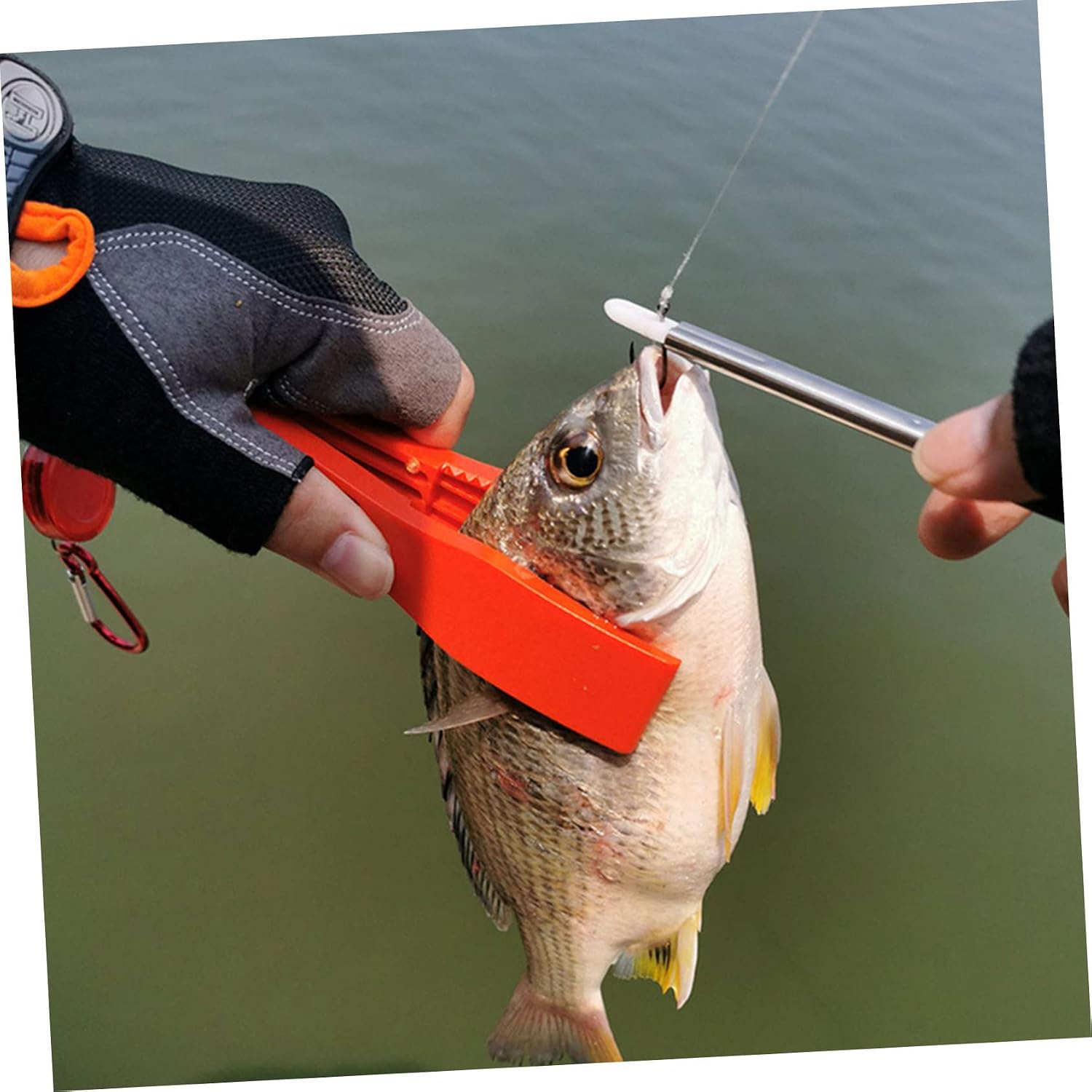 Toddmomy Hook Remover Picker Fishing Accessories Fish Conter Hooks Carabiner Kit Drain Keychains Mini Fishing
