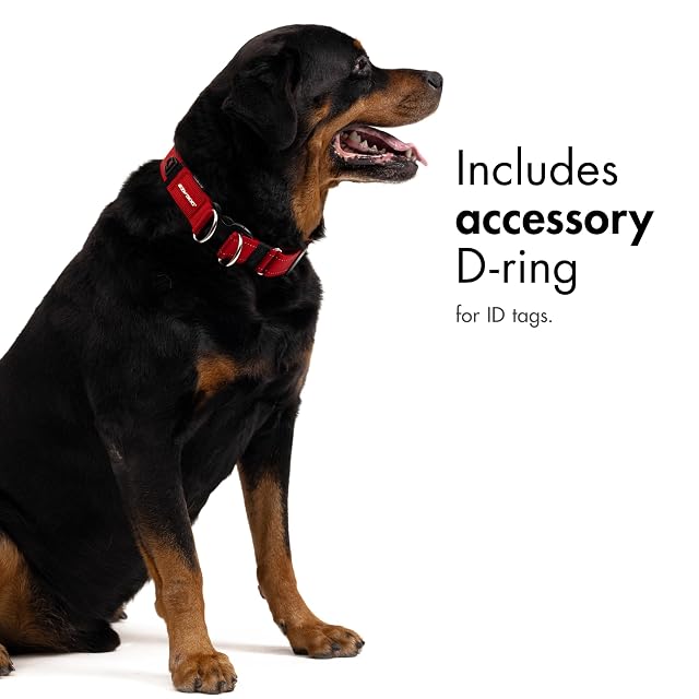 Foto 6 de 6 de EzyDog - Doble cuello, Negro, X-Large (47cm - 71cm)