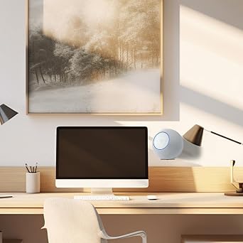 Amazon Echo Studio 2025版に適用する オールメタル壁掛けラック - 省スペース、丈夫で長持ち、内蔵ケーブル管理、滑り止め台座、耐荷重10ポンド、取り付け簡単 - ブラック 1個