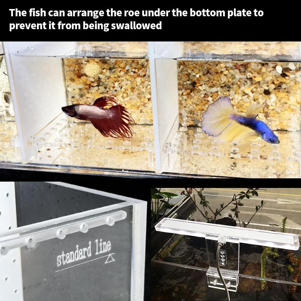 Acrylic LED Aquarium, Professional Betta Fish Tank, Transparent Aquarium Starter Kits, Ultra Clear Acrylic Fish Bowl, Rimless Desktop Betta Fish Tank,3 Room