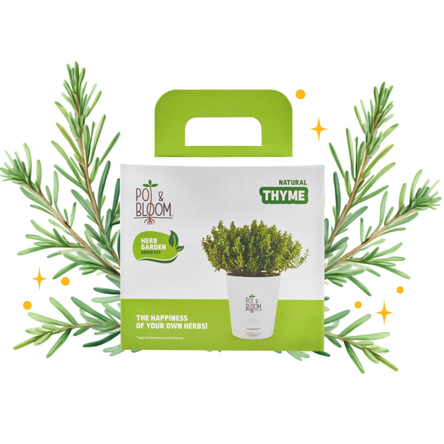 Pot and Bloom Thyme Kit| Plant Kit for Home Gardening| Pack Includes- Thyme Seeds, Pot, Poting Mix(Soil & Fertilizer Mix)| Plant Growth and Protection Spray| All in one, Multipurpose-image-45