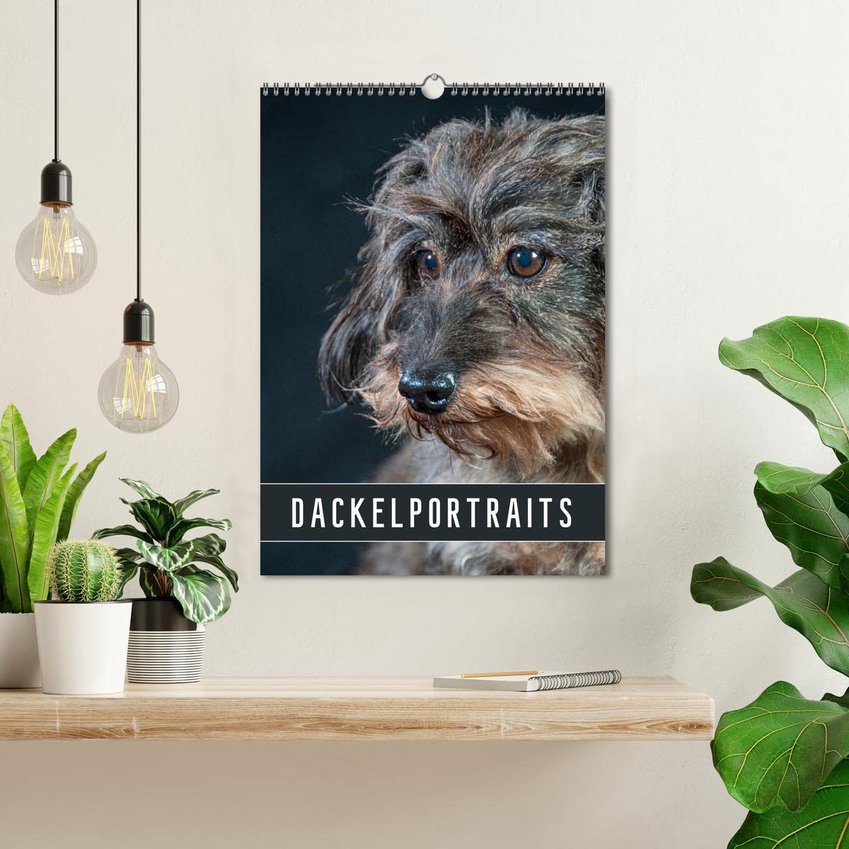 Dackelportraits (Wandkalender 2026 DIN A3 hoch), CALVENDO Monatskalender: In diesem Dackelkalender präsentieren sich Rauhaardackel von ihrer schönsten Seite. (CALVENDO Tiere)