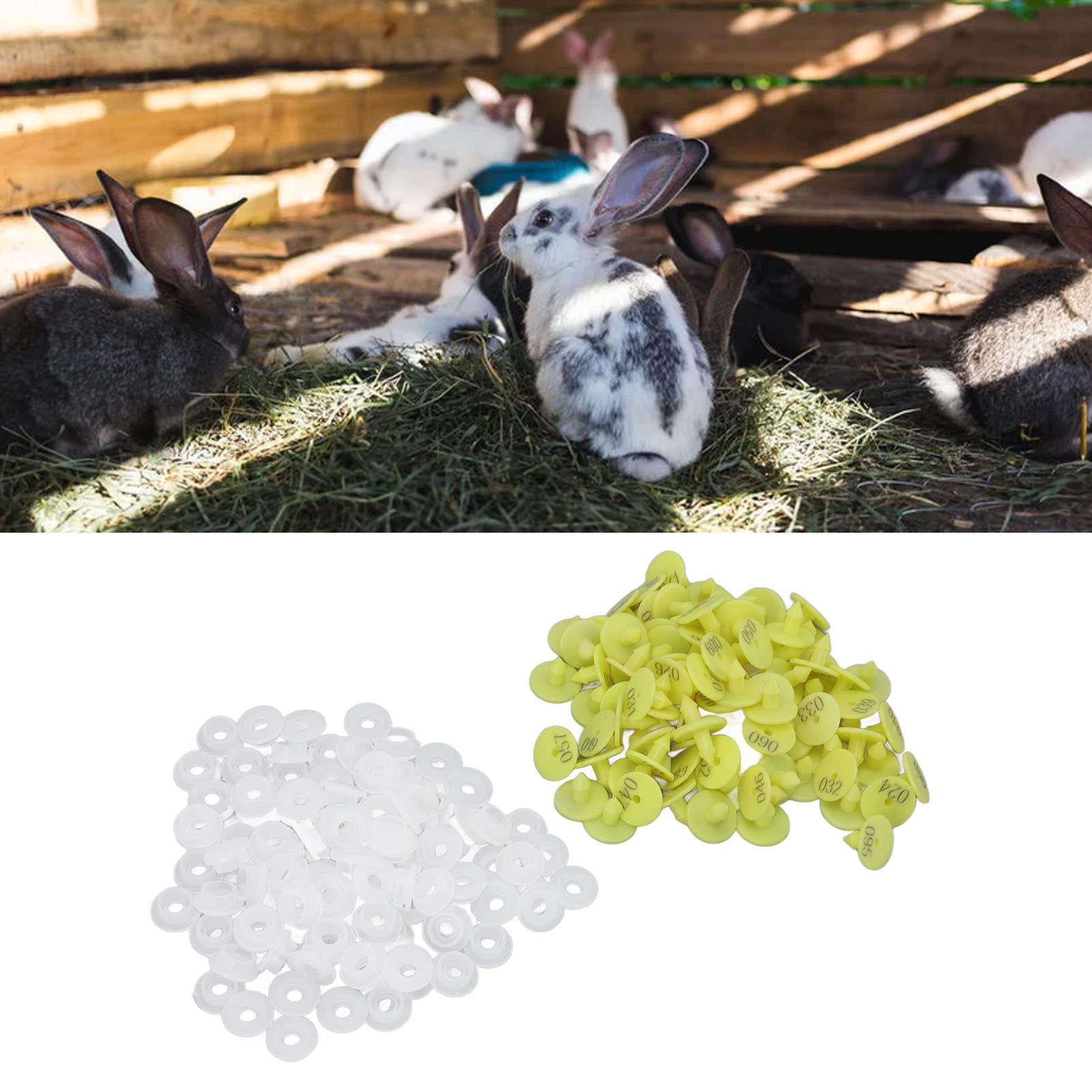 Étiquettes d'Oreilles pour Animaux, Numérotées 001-100, Marquage pour Lapins et Élevage