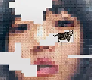 猫にジェラシー (初回限定DVD盤) - あいみょん