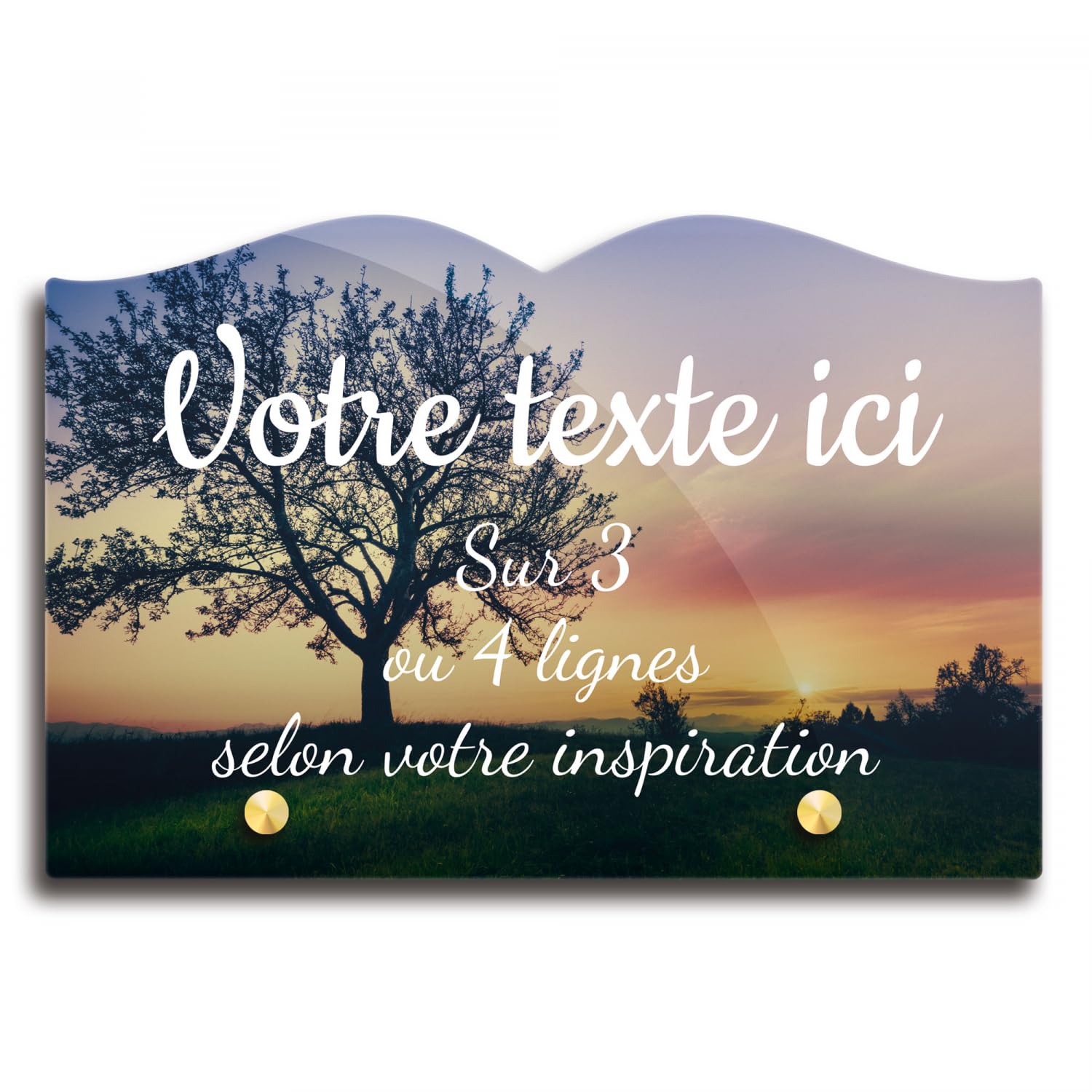 Targa funeraria Libro personalizzabile in plexi motivo camion 03 diverse dimensioni spessore 6 mm personalizzato su più linee 30x20 cm