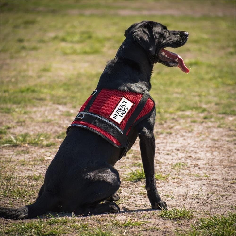 Mesh Service Dog Vest Harness for Large Dogs - Service Dog Patch on Both Sides (34"-41" Girth - XL, Red)
