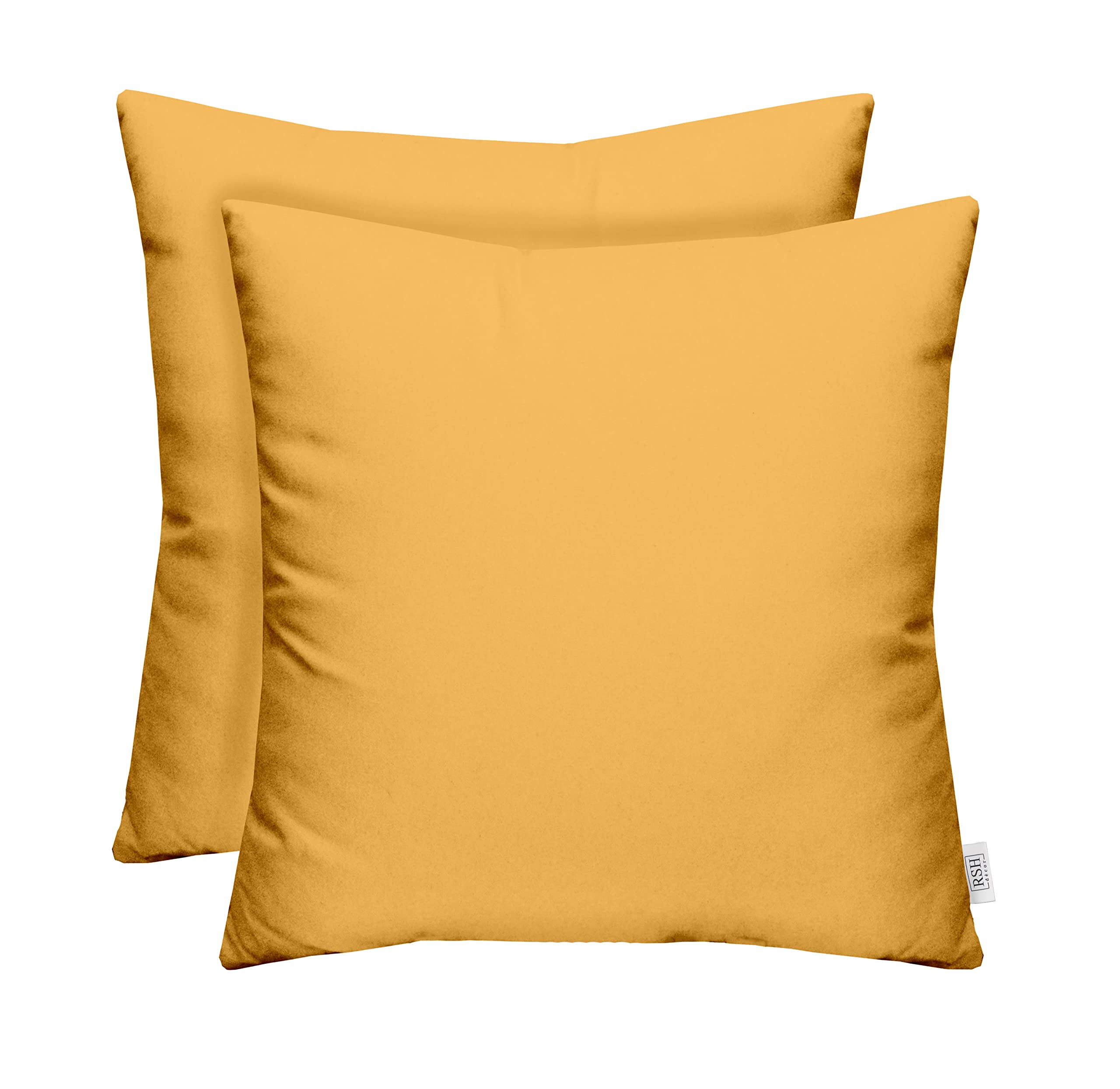 RSH DECOR: Square Throw Pillows Set of 2 | 17