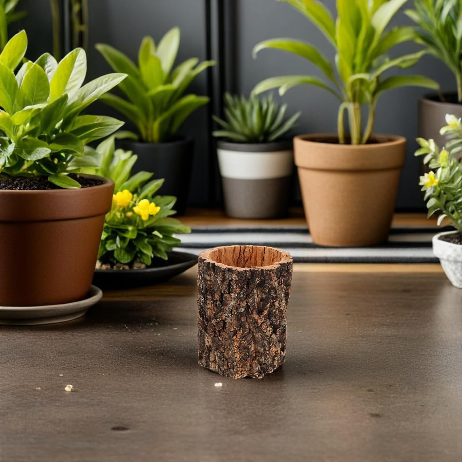 PRETYZOOM Reptile Hideout Cave Wooden Log Shelter 10cm Diameter 15cm Height Terrarium Habitat Decor for Geckos Turtles Lizards Amphibians