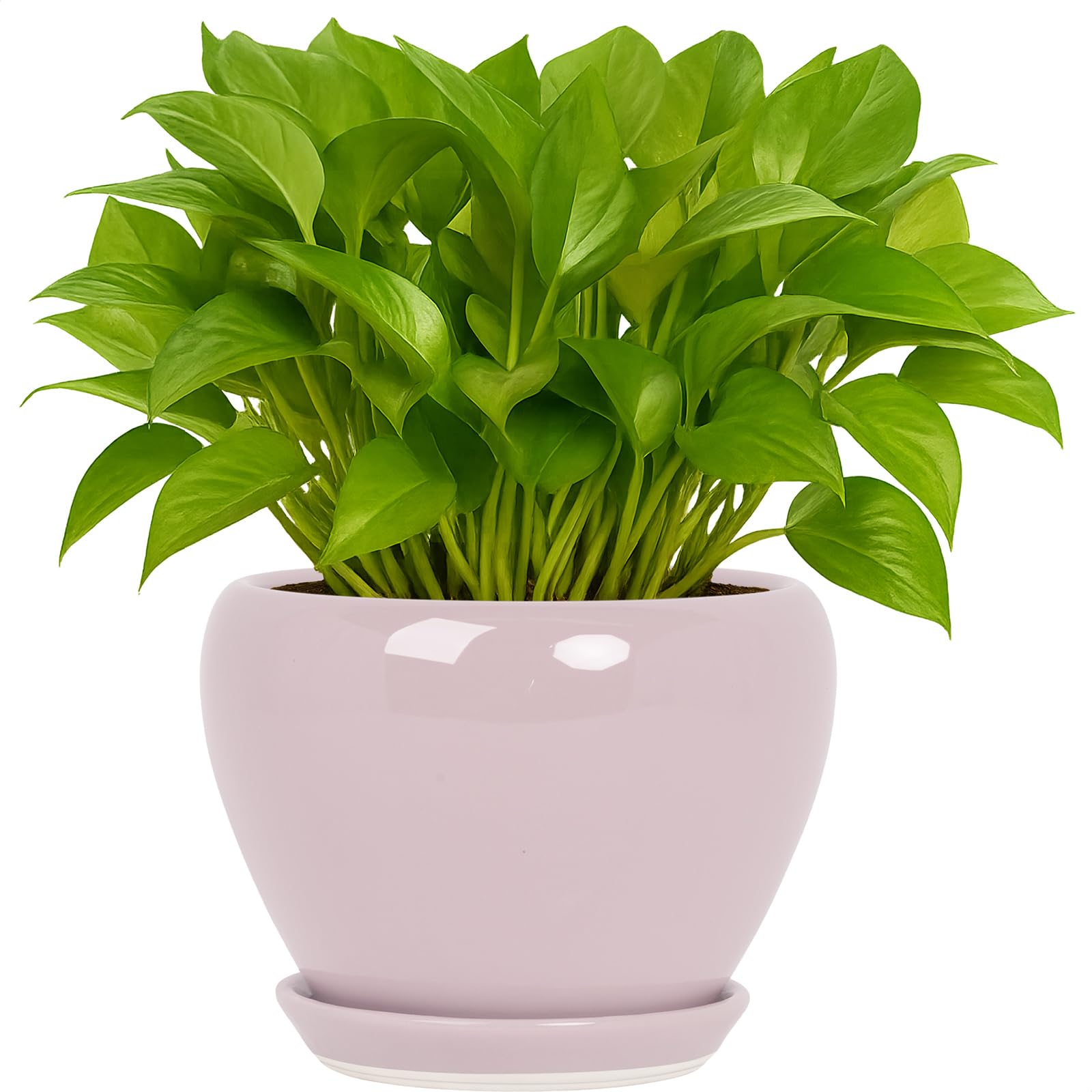 Deep Dream 6 Inch Ceramic Planter