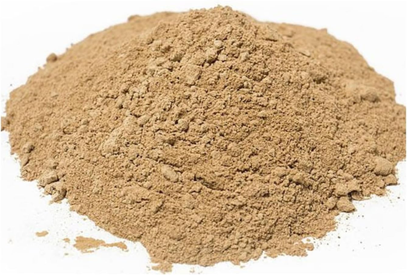 Naturejam Organic Lions Mane Mushroom Powder 1 Pound Bulk-Premium Culinary Grade for Smoothies, Latte and Baking-A Great Coffee Substitute 150-200 Servings - Image 3