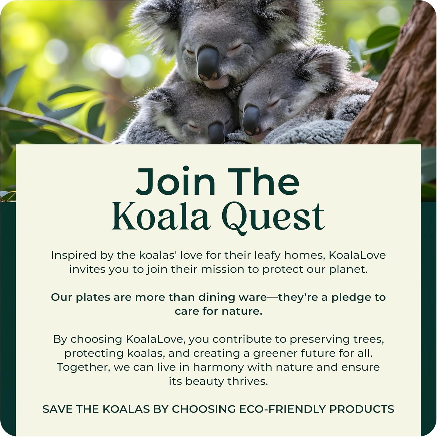 KoalaLove Palmblatt-Teller, Bambuspapier, Einwegteller, 10,2 cm, 200 Stück, quadratisch, für Vorspeisen und Dessert, Party-Set, umweltfreundlich, biologisch abbaubar, kompostierbar, Holz, besser als