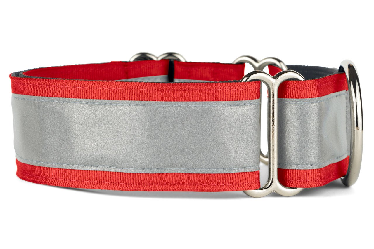 If It Barks Reflective Martingale Collar