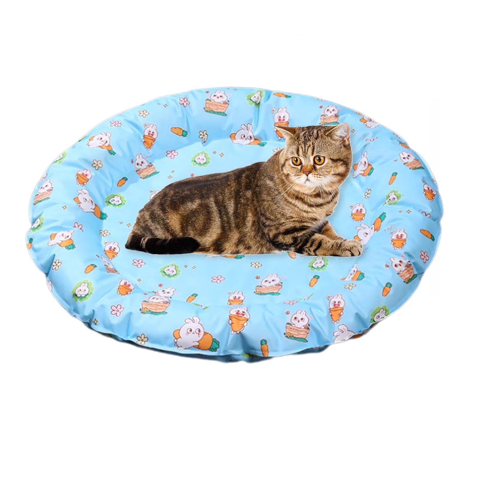 Genérico Mat de Enfriamiento del Gato, Camas de Refrigeración para Perro | Estera de Refrigeración Transpirable - Manta para Mascotas para Pequeños Corazones de Gatos Medianos y Grandes