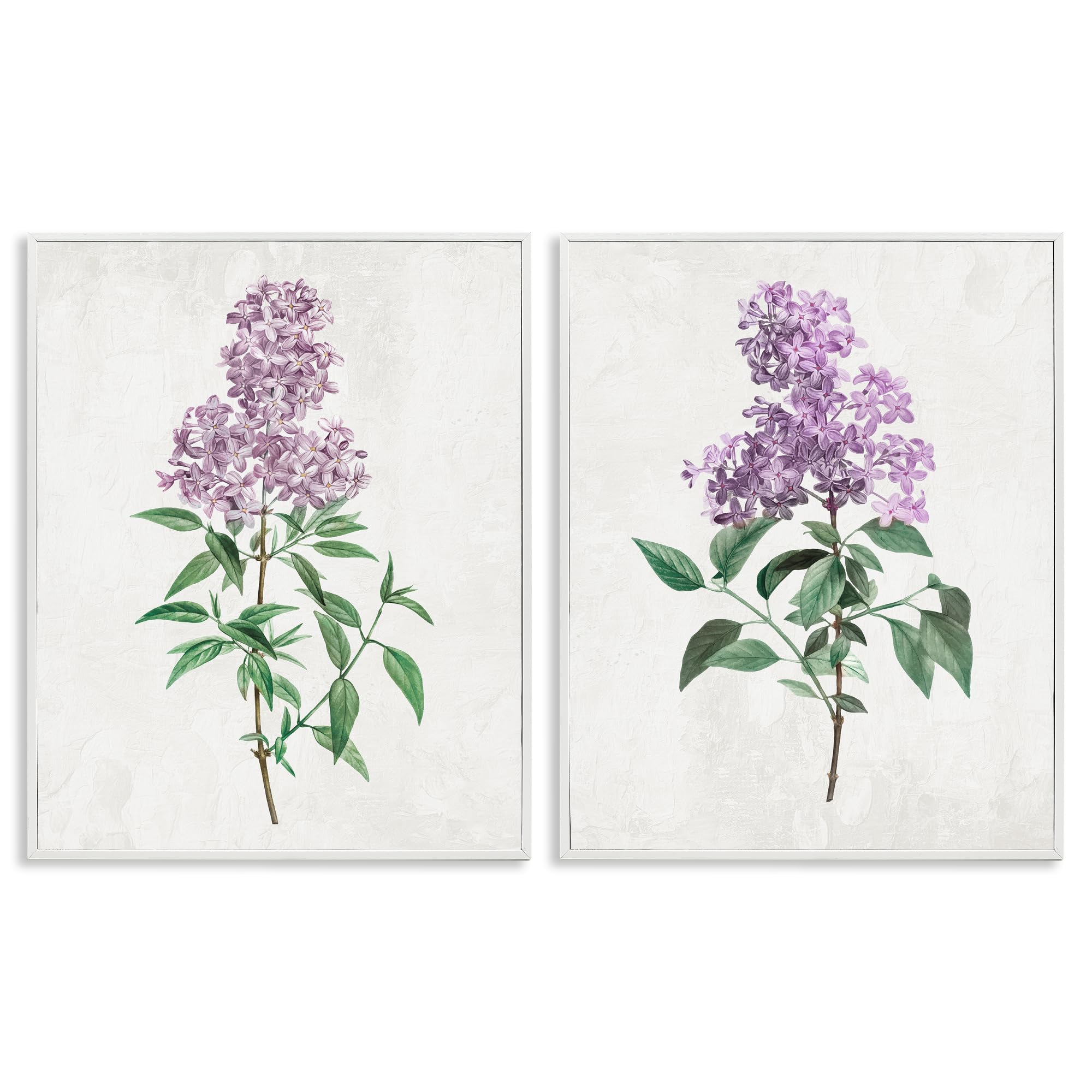 Stupell Industries French Country Lilac Blooms Floral Herbaceous Lilac Blooms Floral, 16 X 20 Inch Framed Giclée Print Set