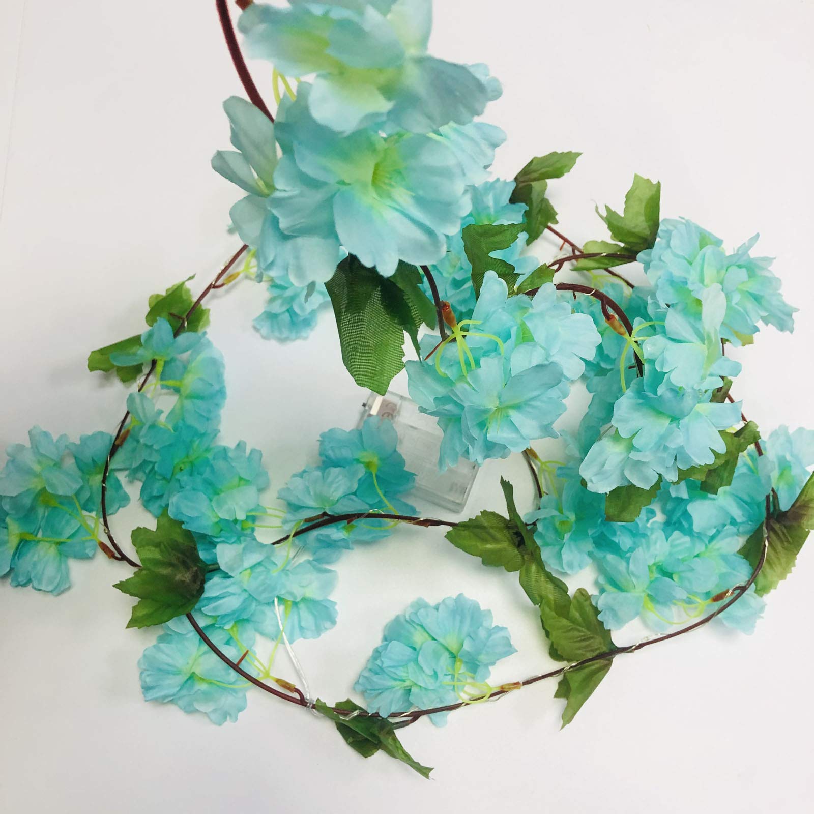 Fairy