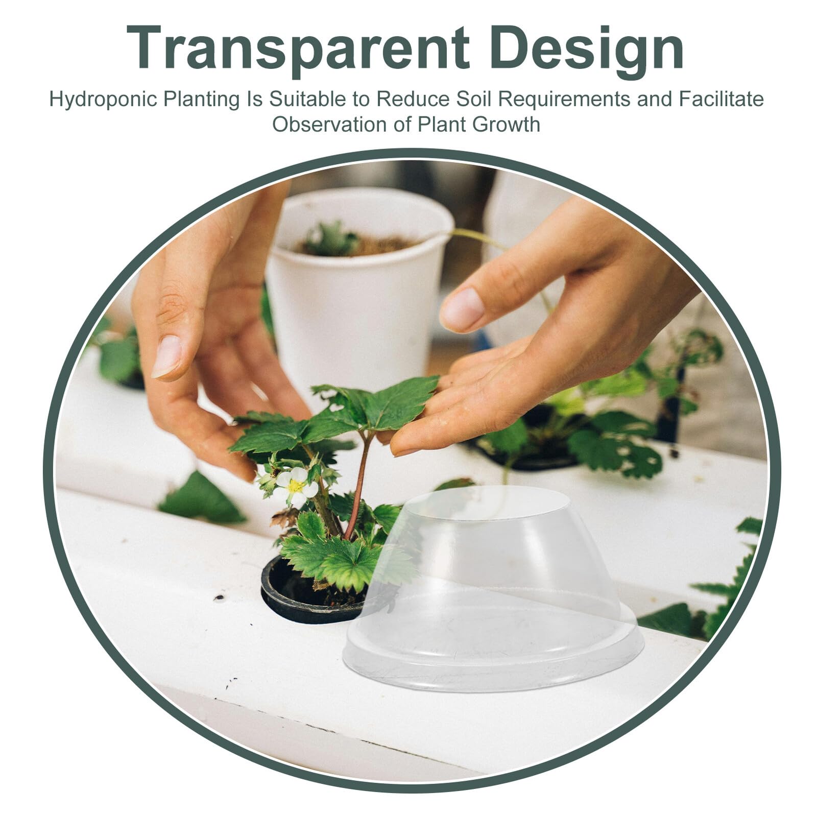 TOYANDONA 200 Unidades Cúpulas Protectoras para Plantas Cubierta Transparente de Plástico para Invernadero y Cultivo Hidropónico Campana para Macetas de Vivero Resistente al Frío y