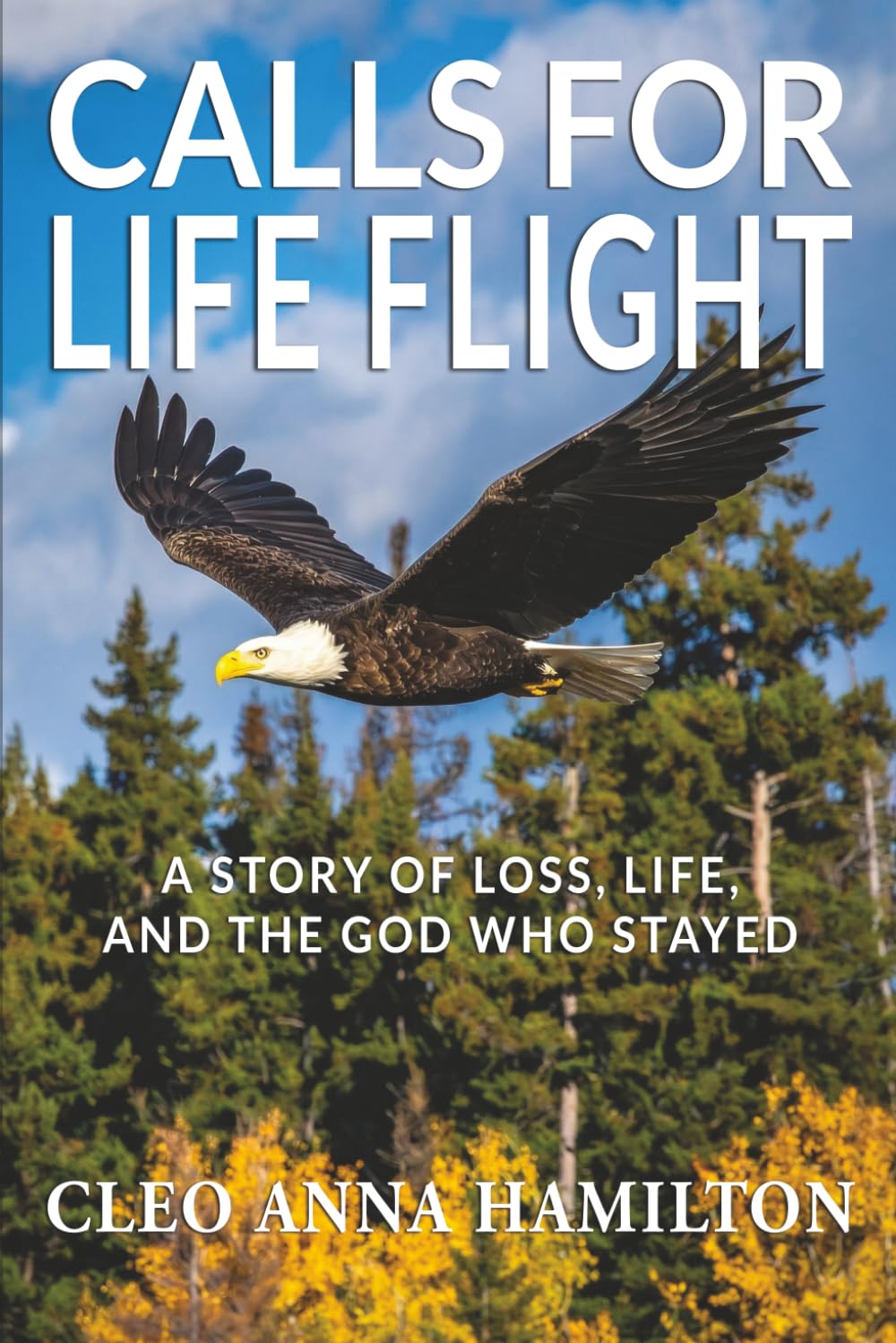 Calls for Life Flight: A Story of Loss, Life, and the God Who Stayed