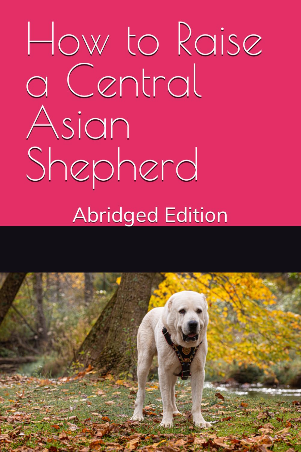 How to Raise a Central Asian Shepherd: Abridged Edition