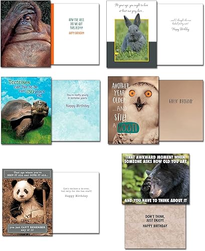 Miniatura 4 de Leanin' Tree, Divertidas cajas y sobres surtidos de 20 tarjetas de felicitación para todas las ocasiones