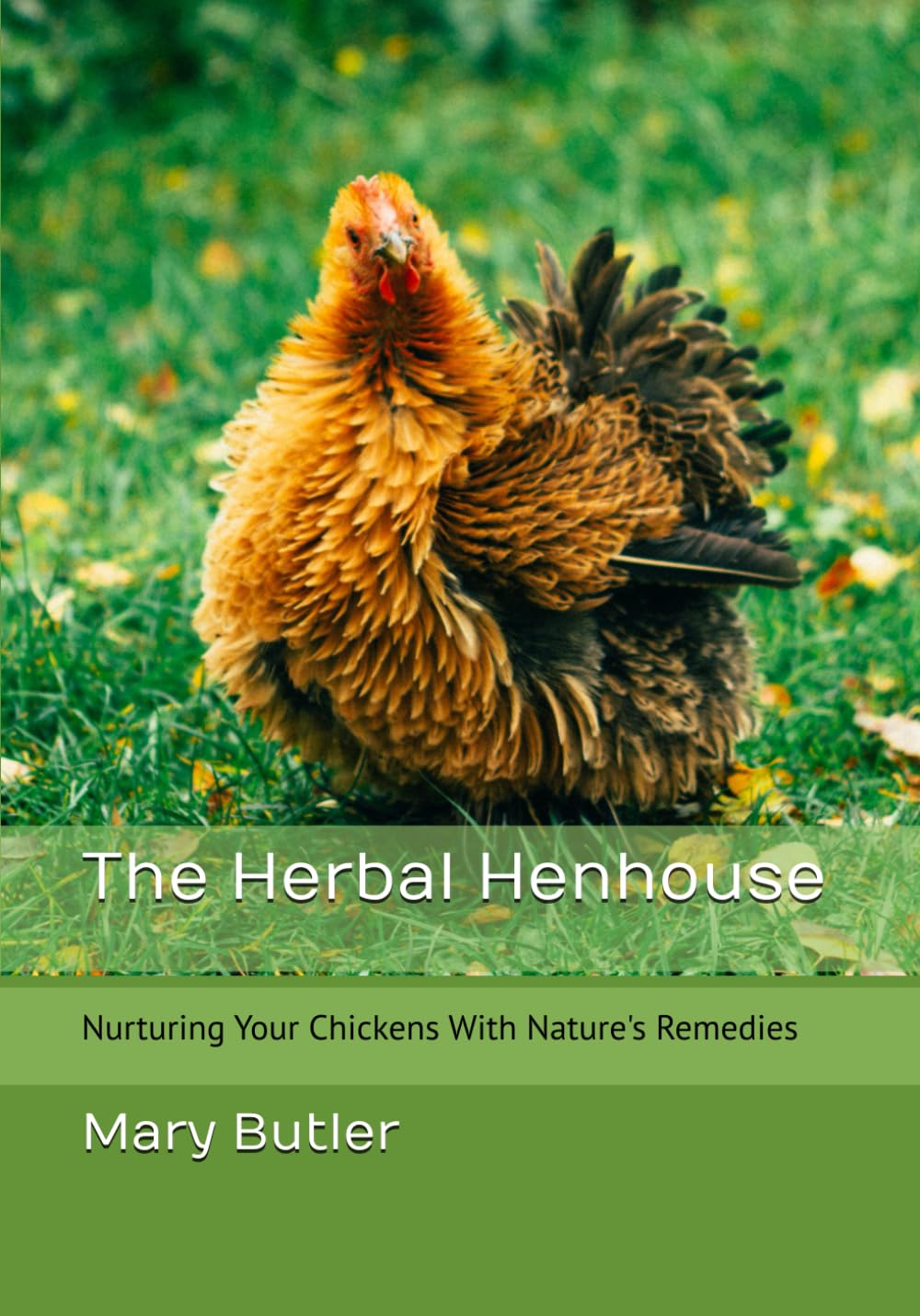 The Herbal Henhouse: Nurturing Your Chickens With Nature’s Remedies