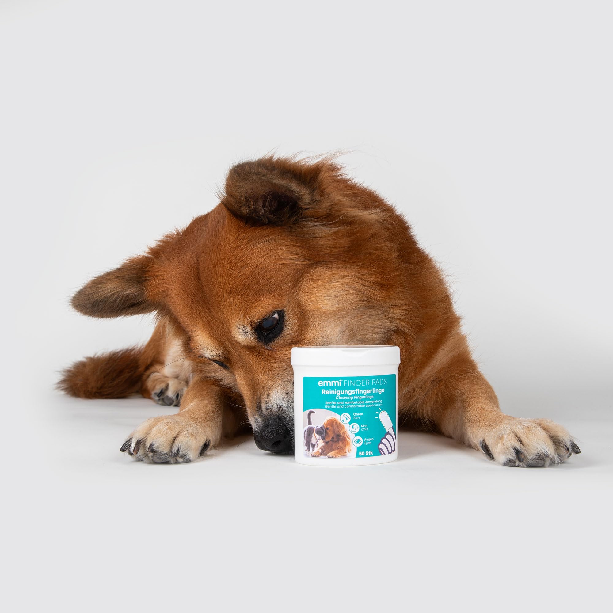 Haustier Reinigungshandschuhe 30 Stück + 100 Finger-Pads - Einweg Pflegeset