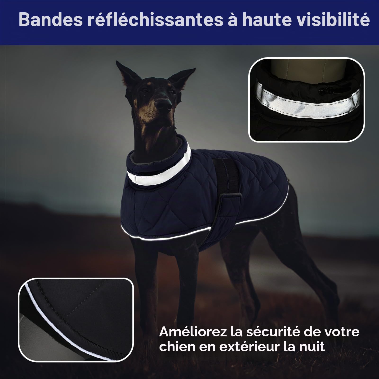 ASENKU Manteau Chien Hiver M pour Chien Moyen, Veste Imperméable Coupe-Vent Réfléchissante, Doublure Polaire Chaude, Taille Ajustable, Ouverture Collier – pour Beagle, Teckel, Cavalier King Charles