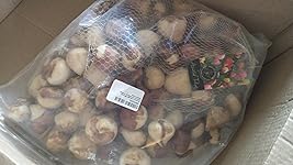 Review Image by Adrya L Webb Adrya L Webb