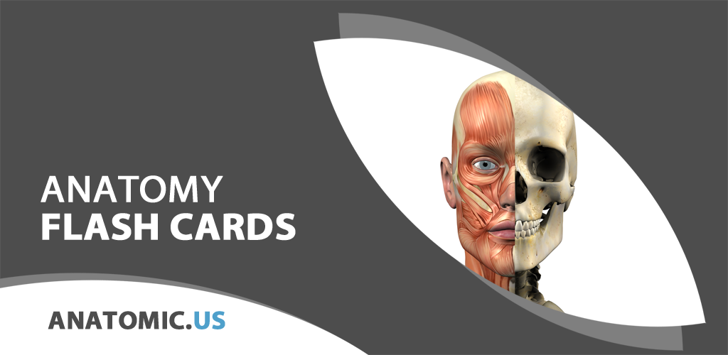 ANATOMY FLASHCARDSAmazon.deAppstore for Android