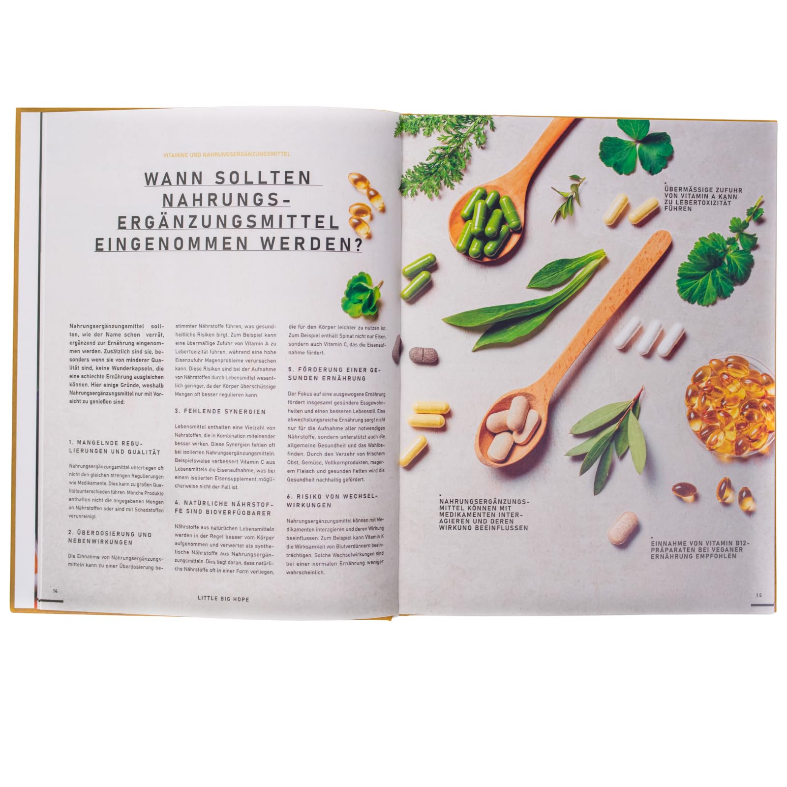 LITTLE BIG HOPE - Gesündere Ernährung bei Kinderwunsch: 100 exzellente Rezepte von einem Spitzenkoch konzipiert mit praktischen Tipps und medizinischen Empfehlungen von Kinderwunsch-Experten
