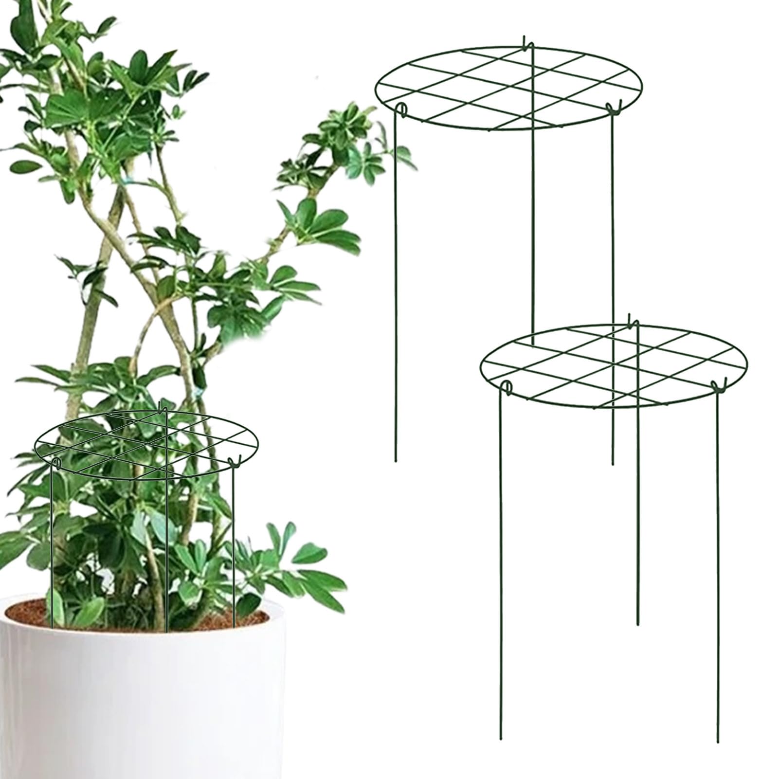 Treillis de jardin pour concombres et tomates en pot sur le balcon