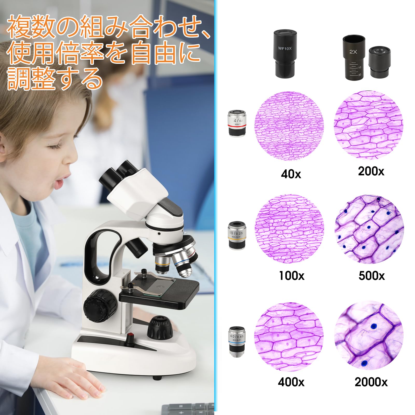 Amazon.co.jp: Sedumic 複合型双眼顕微鏡 40X～2000X LED照明顕 XY軸 