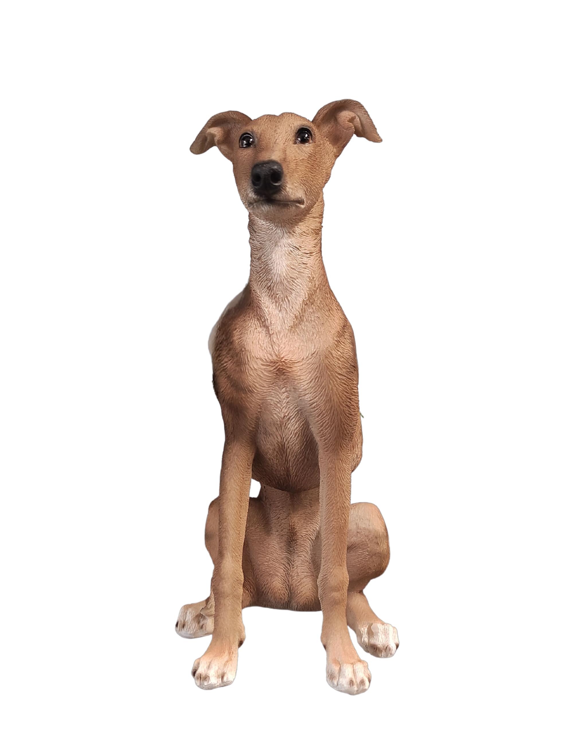Vivid Arts - Whippet - XRL-WHIP-D